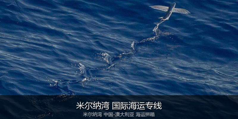 跨境电商退货与逆向物流