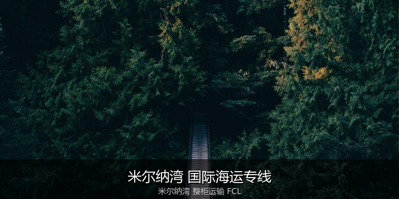 关税优化与贸易合规筹划
