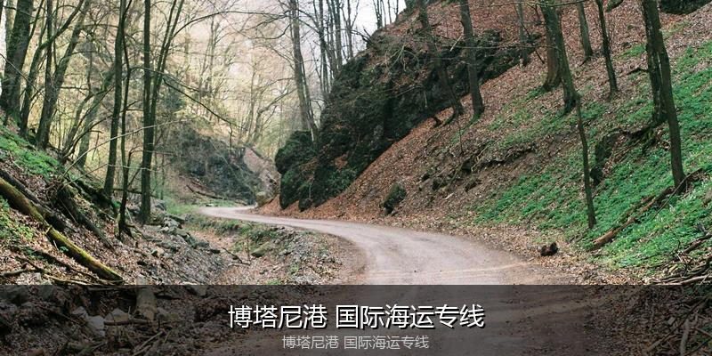 大件设备海运特种运输方案