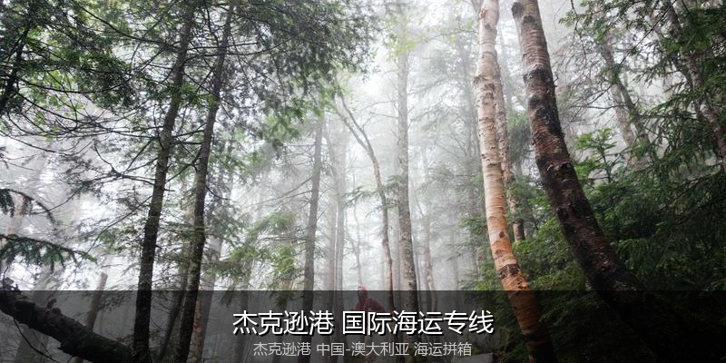 跨境电商退货与逆向物流