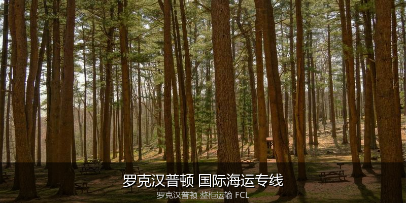 关税优化与贸易合规筹划