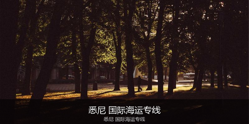 大件设备海运特种运输方案