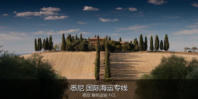 关税优化与贸易合规筹划