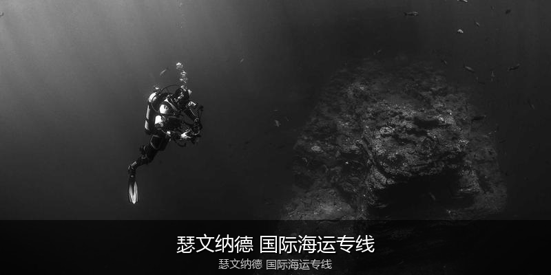 大件设备海运特种运输方案