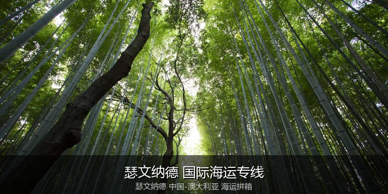 跨境电商退货与逆向物流