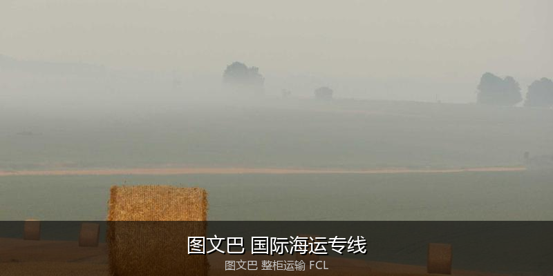 关税优化与贸易合规筹划