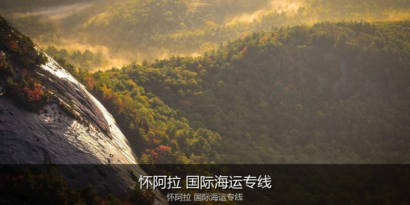 大件设备海运特种运输方案