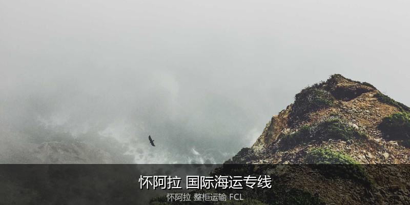 关税优化与贸易合规筹划