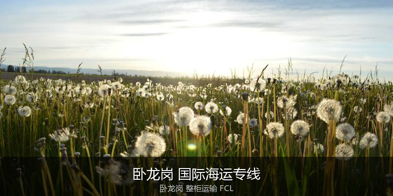 关税优化与贸易合规筹划